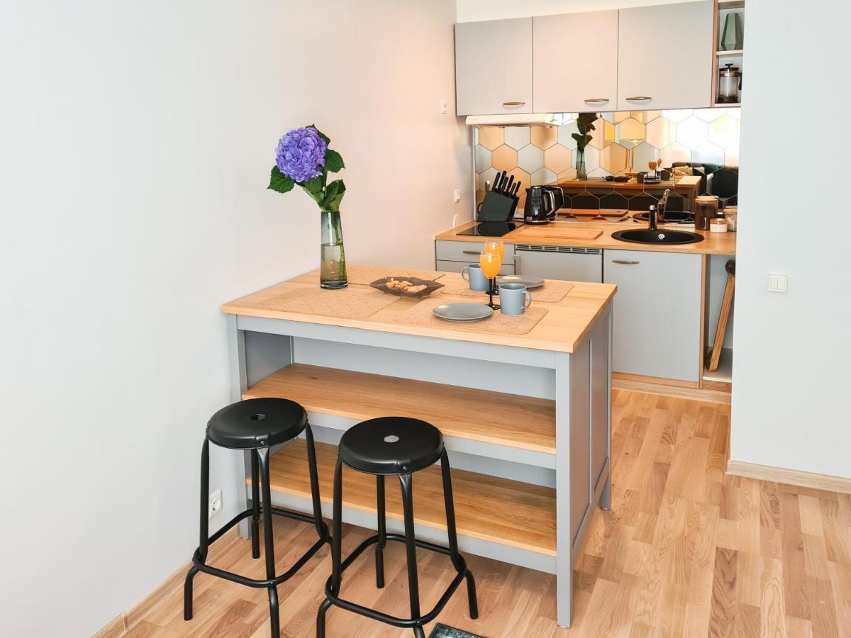 Ohtu Poik 2 City Center Basement Apartment Pärnu Dış mekan fotoğraf