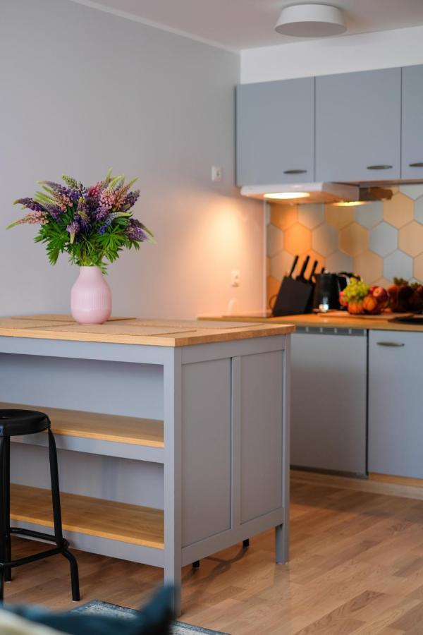 Ohtu Poik 2 City Center Basement Apartment Pärnu Dış mekan fotoğraf