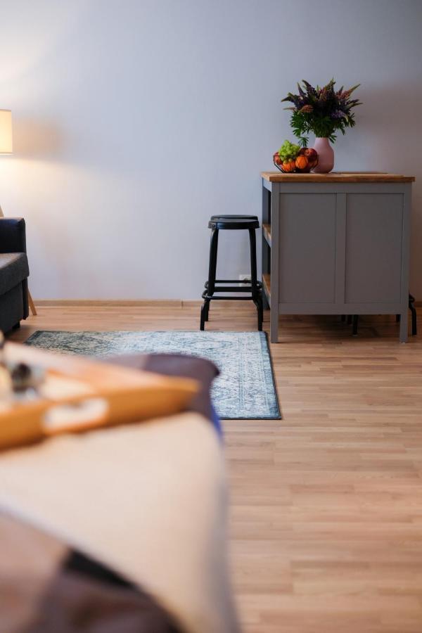 Ohtu Poik 2 City Center Basement Apartment Pärnu Dış mekan fotoğraf