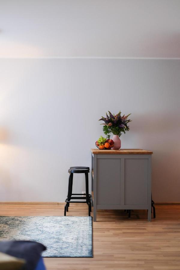 Ohtu Poik 2 City Center Basement Apartment Pärnu Dış mekan fotoğraf