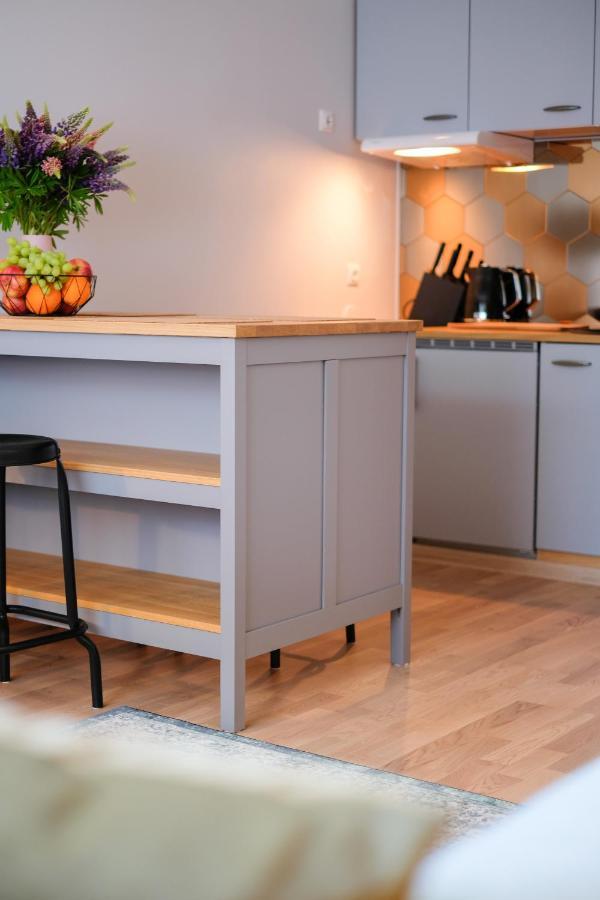 Ohtu Poik 2 City Center Basement Apartment Pärnu Dış mekan fotoğraf